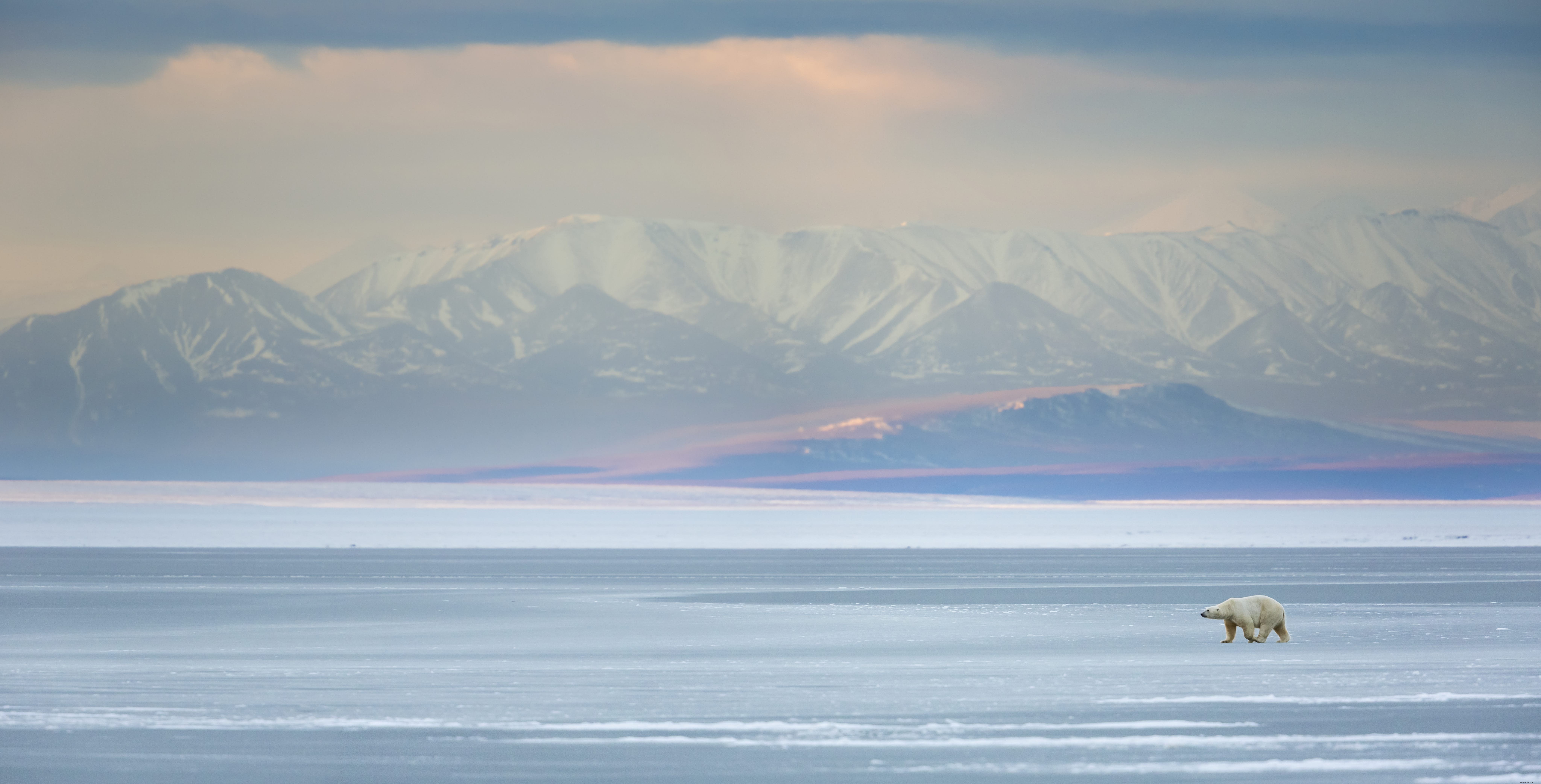 Réserve nationale de la faune arctique